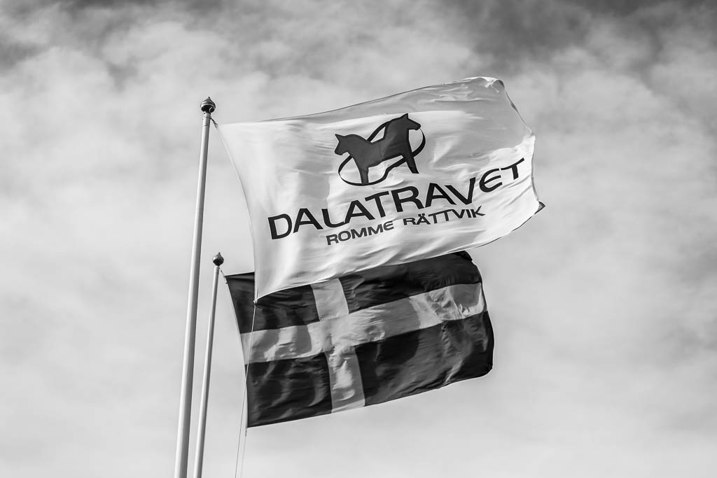 Den svenska flaggan och Dalatravets flagga står rakt ut i vinden.