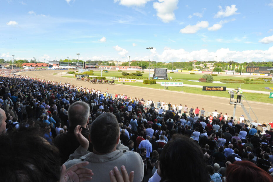 Publik på Solvallas e-läktare under pågående lopp Elitloppshelgen 2010.